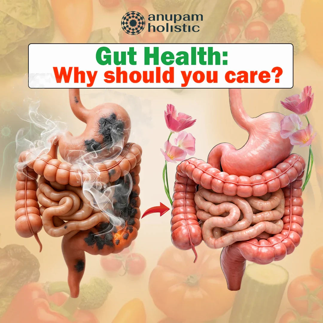 Gut Health Nutritionist: Why Gut Care Matters for Your Whole Body ...